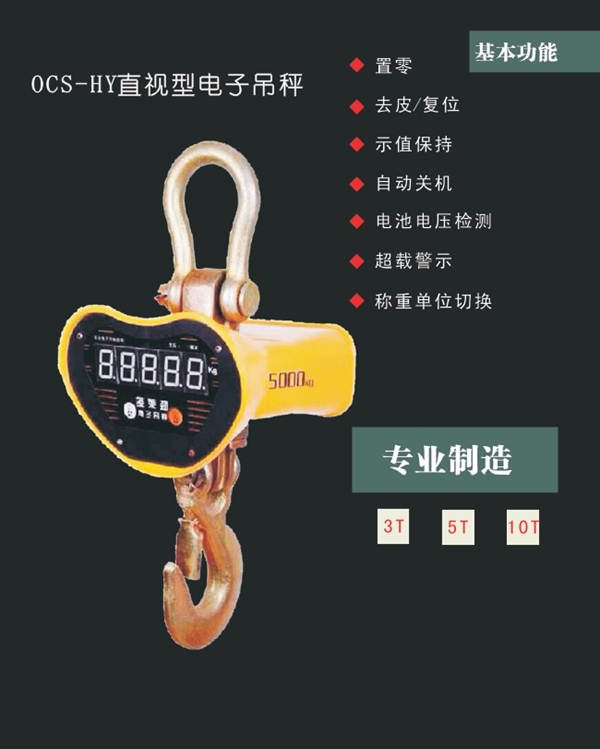 开云体育
,长沙电动葫芦,长沙钢丝绳,电子吊秤哪里的好